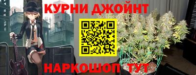 гидропоника Камышлов