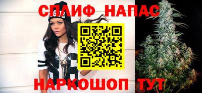 гашик Канаш