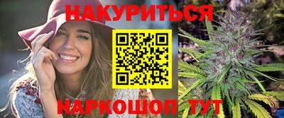 гидропоника Камышлов