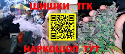 гидропоника Камышлов