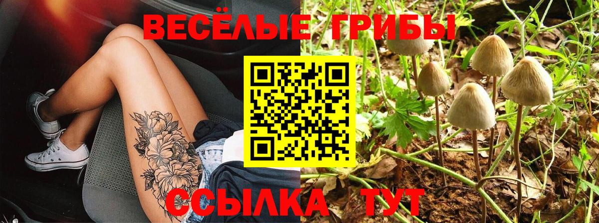 даркнет сайт  Псилоцибиновые грибы Psilocybe  Вход с VPN  Видное 