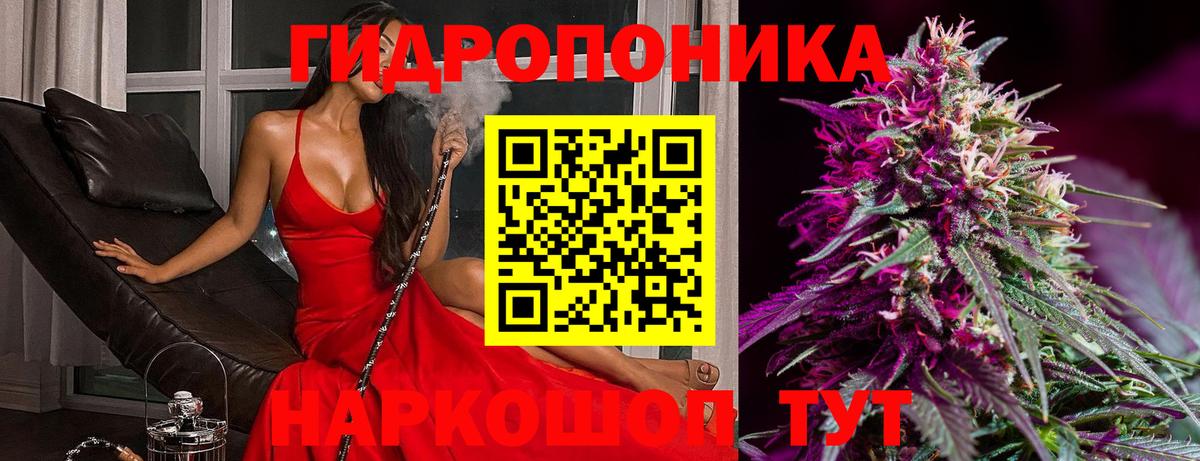 Канабис конопля  Каннабис AK-47  Вход с VPN  Видное  МАРИХУАНА SATIVA & INDICA 